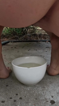 Pee and Golden Stream Compilation