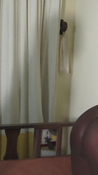Ebony Lesbians Spanking