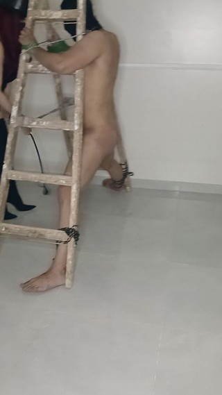 Starqueen studio: 我的仆人，喜欢我的命令。他的女王是最强壮的阿拉伯主人