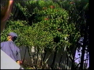 Gays Case: Manly cachondo hunk folla el culo apretado del chico en...