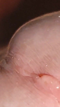 Breites Und Tiefes, Unwiderstehliches Nassloch!