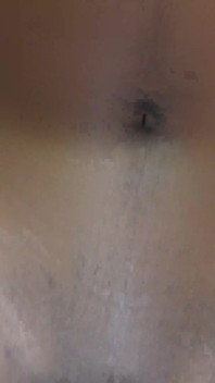 Tight little black pussy creampied by big white cock