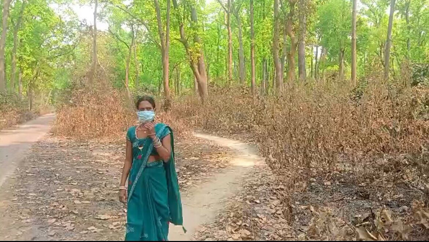 Desi Bhabhi Sex Video in the Jungle (Rani Kumari)
