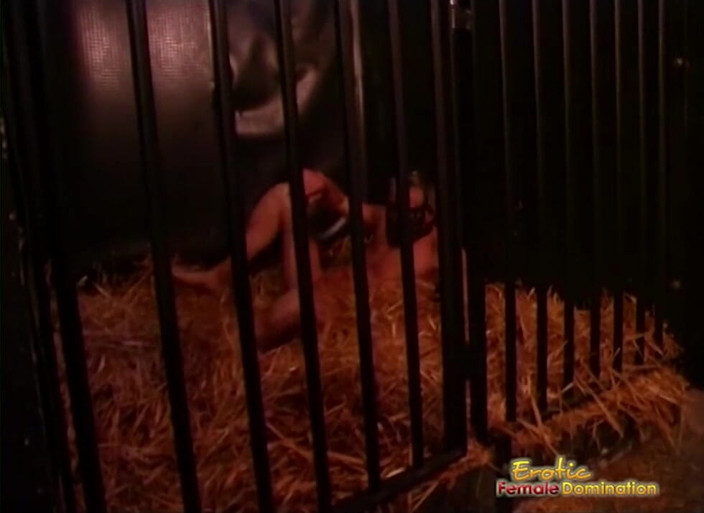 Erotic Female Domination: ドミナトリスによって納屋で動物のように扱われた哀れな敗者