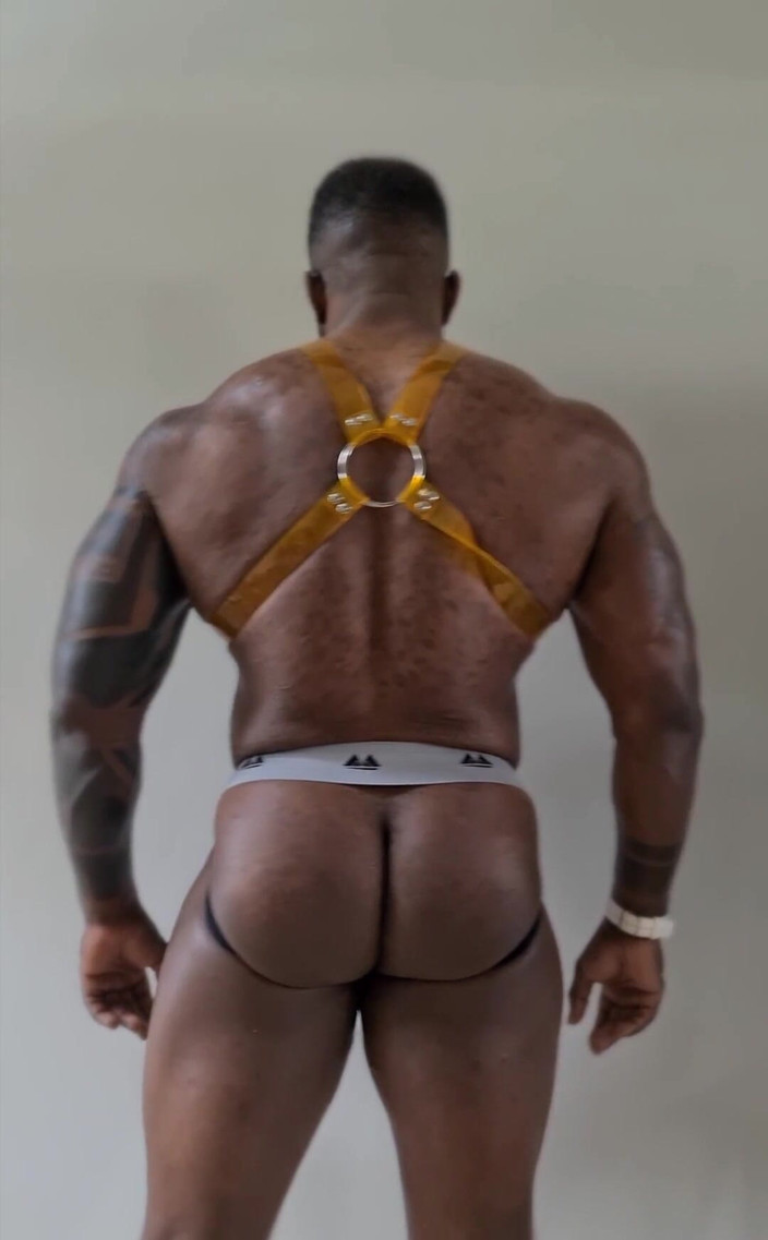 Amadeus: Harness baru ini adalah api dengan warna kuning dari #stongpup di...
