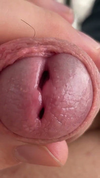 Ma Bite Du Matin