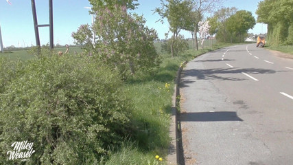 Miley Weasel: Miley Weasel alınıyor ve sikiliyor!!