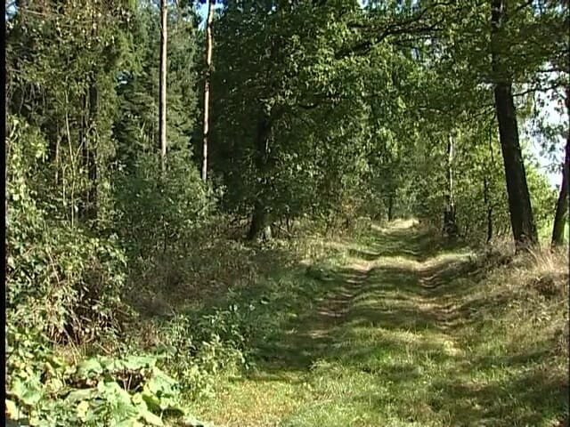 Lucky Cooch: Auf dem land spazieren