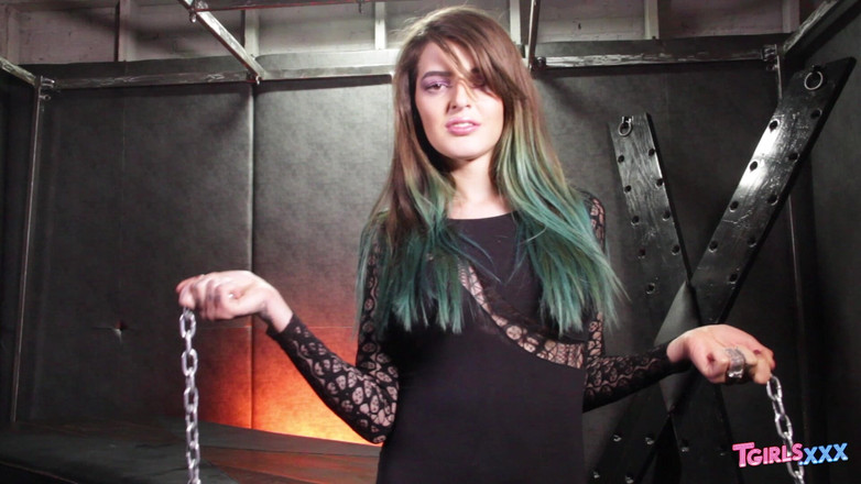 Tgirls xxx: Tgirls XXX: Dungeon Queen Vixxen Goddess