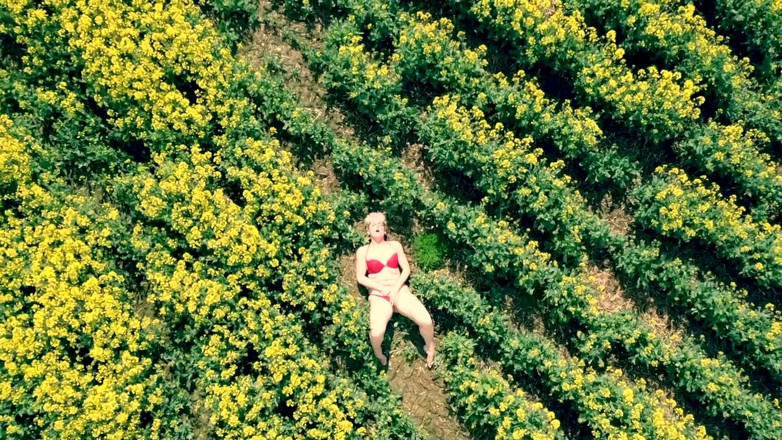Kylie Britain Adventures: Birds Eye View