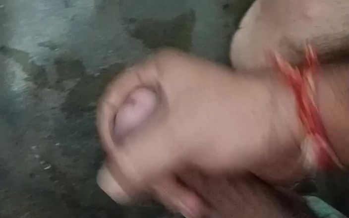 Rajasthani Video: Jabardast Sega desi