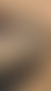 Bisexual Bitches Multi Man Creampie Orgy