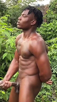 Chaleur dans la jungle 3