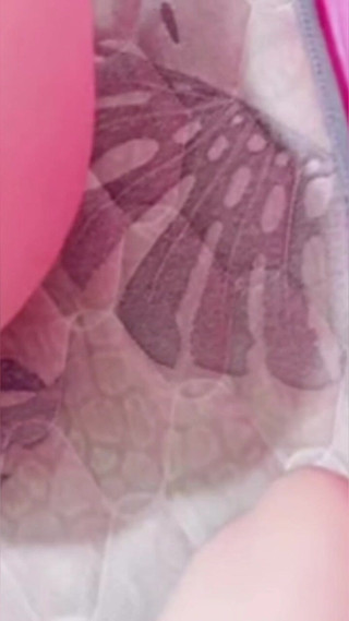 Aladin_87: Van achteren