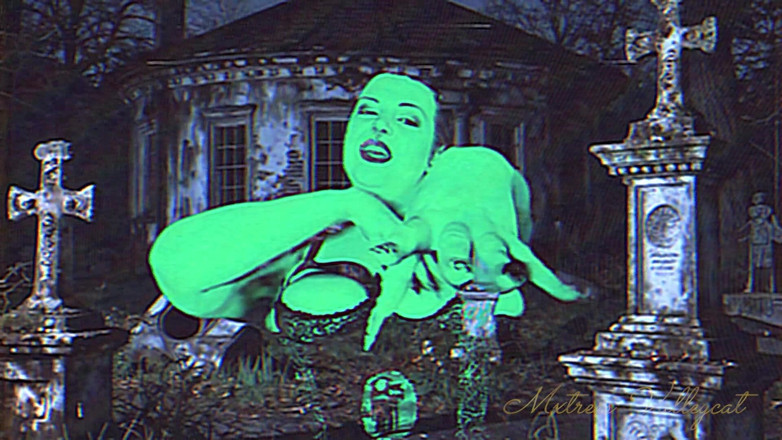 Mxtress Valleycat: Istimewa Hari Paranormal