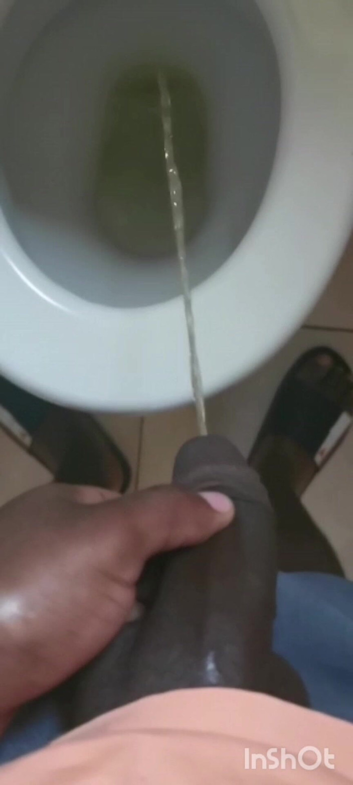 Rex Bitchington Blade: Första kissa video