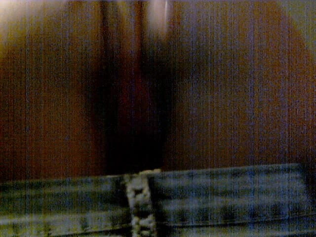 Goddess Vivian Leigh: 崇拜我的牛仔裤婊子