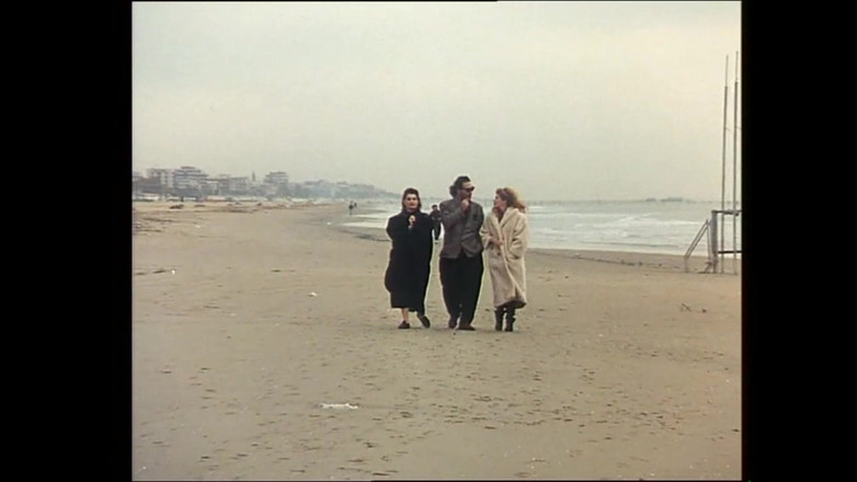 FM Video VOD: The Fun (phim)