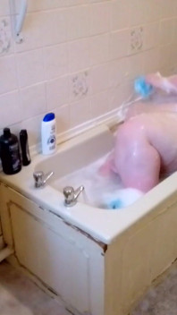 Sbbw cerca di fare un bagno, può adattarsi?