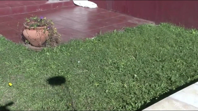 American Idol X: 2 Zorras Al Servicio De Mi Gran Polla