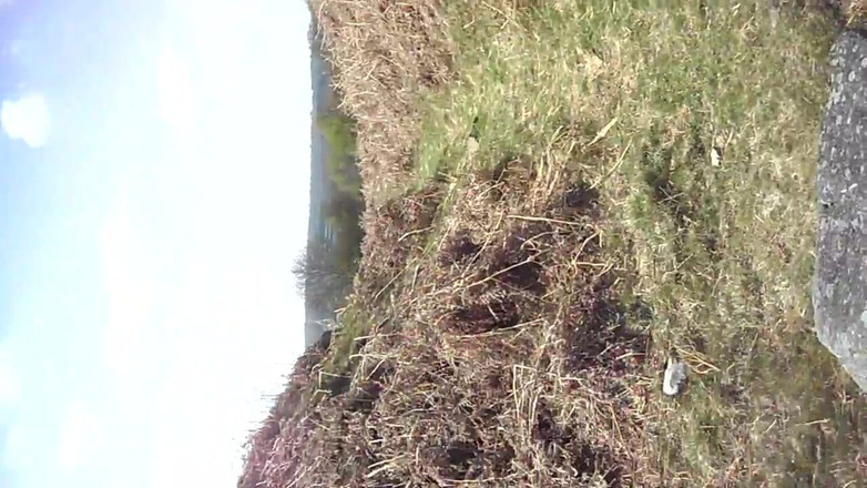 Creampie Clinic: 음란한 소녀를 위한 24시간 자지