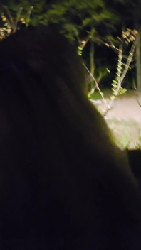 Clip mai viste - mama foxx94