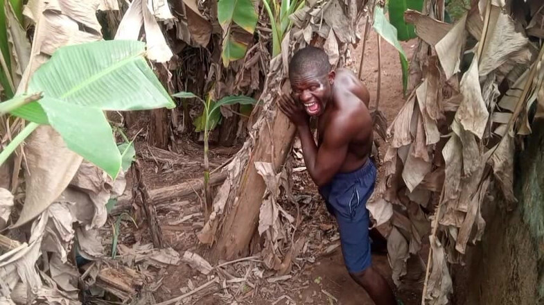 Moviesporn1: O dia dos namorados tem coleira uma plantain mais buraco...