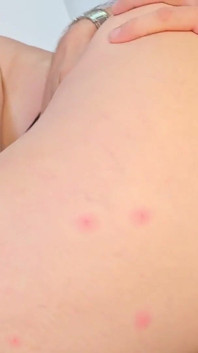 Il mio insegnante di college è una latina tettona matura con culo grosso