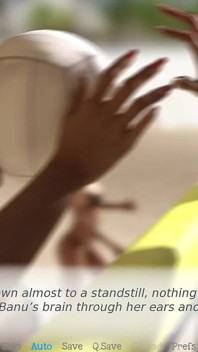 Het leven in het Midden-Oosten #12