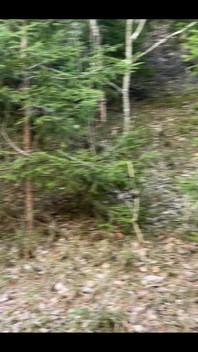 The Sound of Water, Drops Splashing