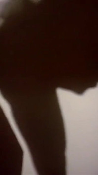 Lustige Witwe (1995)