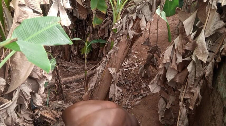 Moviesporn1: O dia dos namorados tem coleira uma plantain mais buraco...