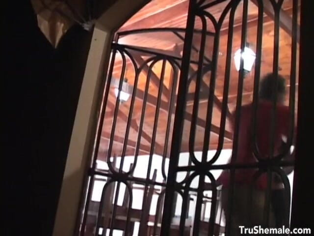 Tru Shemale: La carina sottomessa tS busser carolina riceve una sorpresa come...