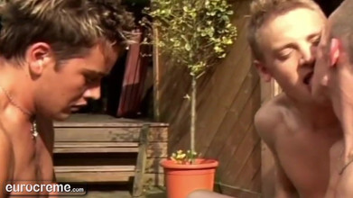 Eurocreme: Eurocreme - demam zakar gay