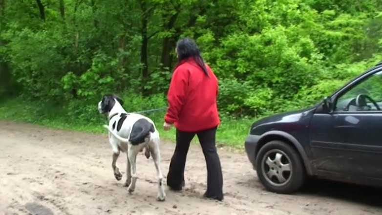 Public Entertainment: Chubby and horny brunette was walking her pet when she...