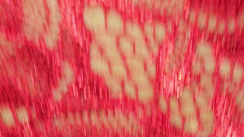 Secret Siren: Island slampa suger kuk i röda underkläder