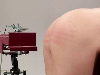 Spanking Server: Машинка для шлепания - порка задницы Ally