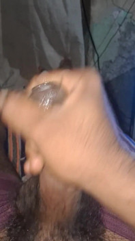 Polla india