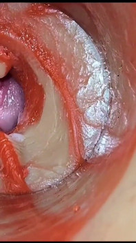 Compilation De Creampies, Partie 2, POV
