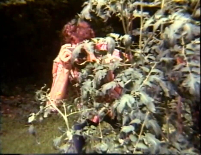 Vintage Usa: The legend of porn- USA 1969, the beginning - Scene 14