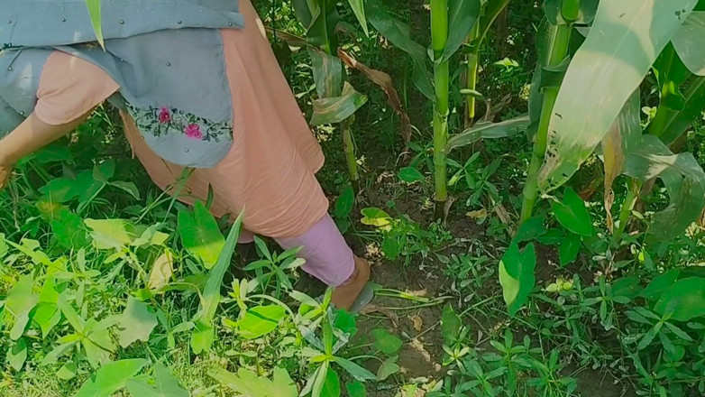 Deshi women: Gaon's Desi Chudai Jungle Mein Mangal