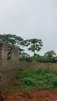 काले लड़कों के चार गिरोह ने आउटडोर गंदी हॉट चुदाई देखी