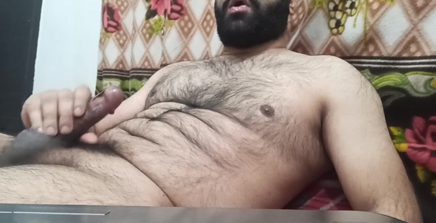BibearXXX: BibearXXX 44