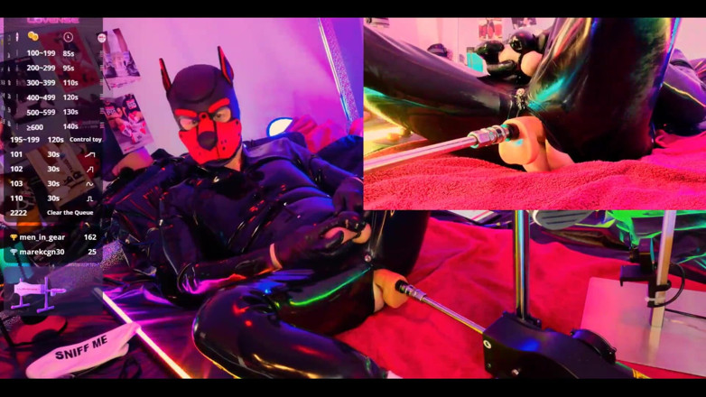 Roman Heart: Doggy Rubber Show