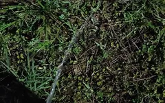 Pissing Compilation 2