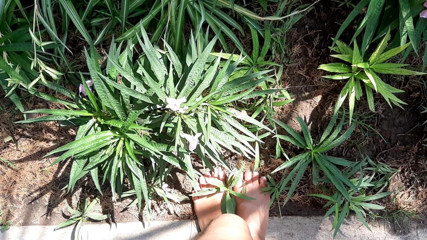 Fetish intimmedia: Milf with sexy strong feet outdoors
