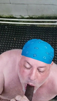 Bear Gets Pissed on by BBC