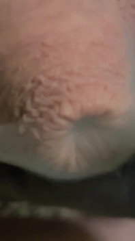 Party Dick