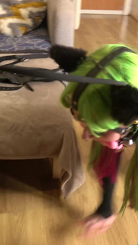 Mimi & Latina: Leather-bound Submission - Tight Bondage, Humiliating Gags, and Intense Domination