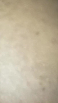 Tôi dạy chị dâu bú cu
